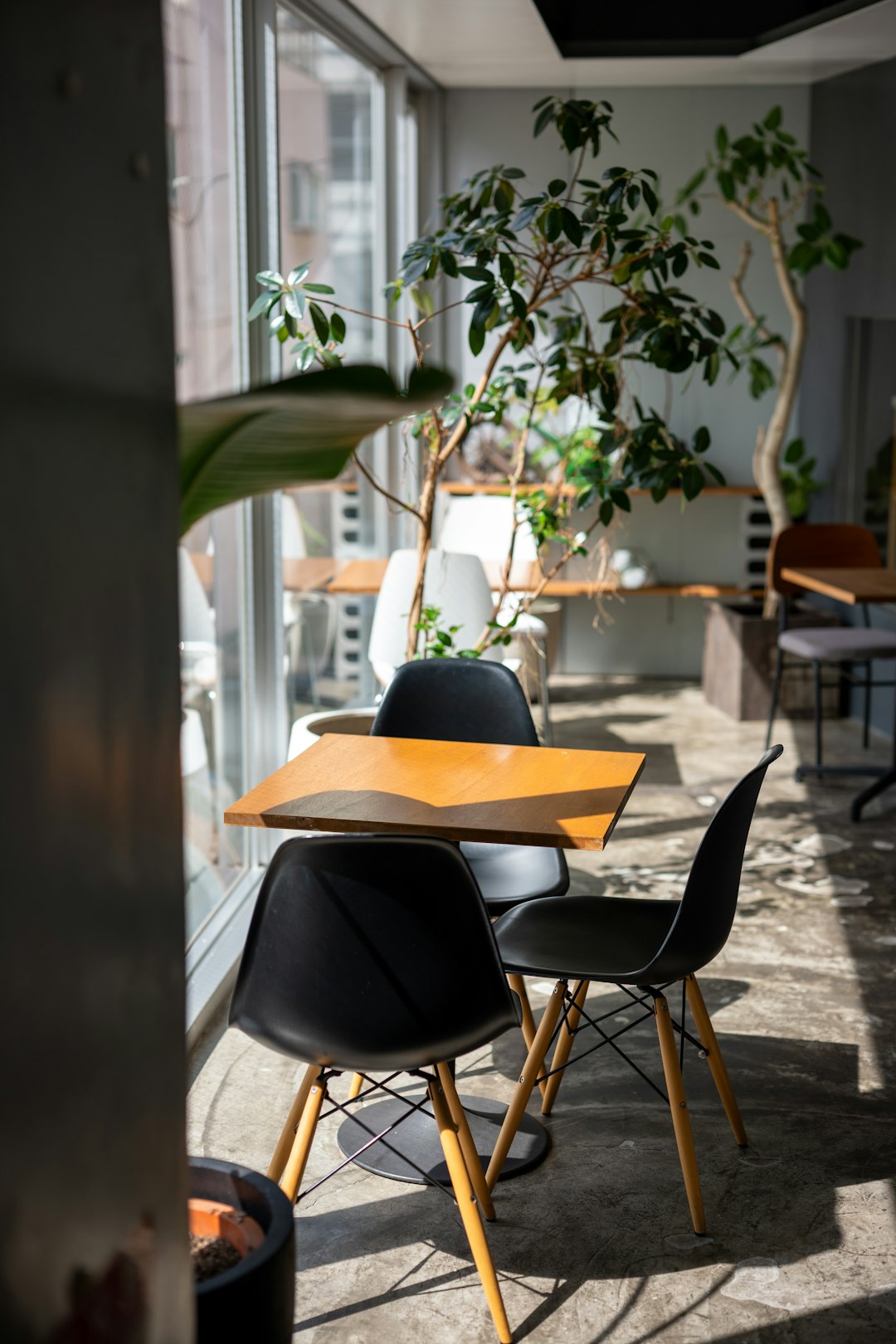 Modern Restaurant Interior