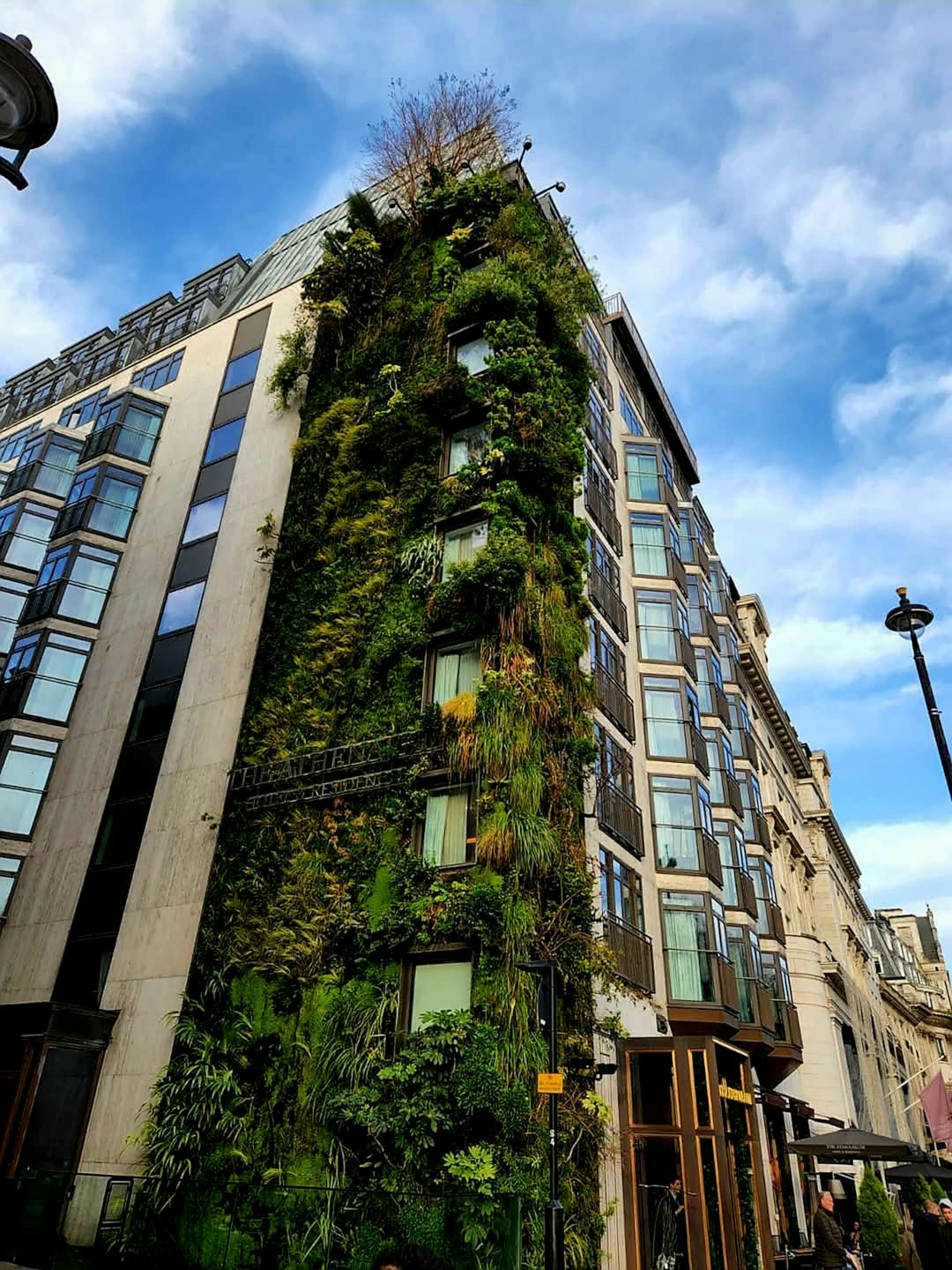 Green Building Design